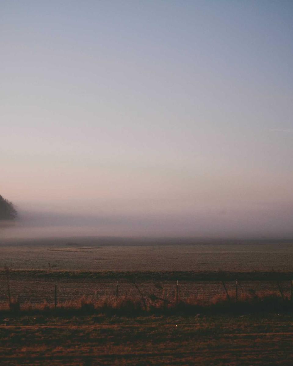 Valley Sessions Vol. 04