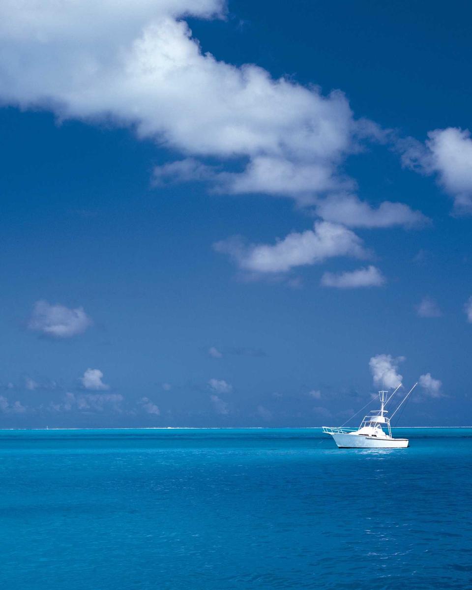 Brooklyn Block Party
